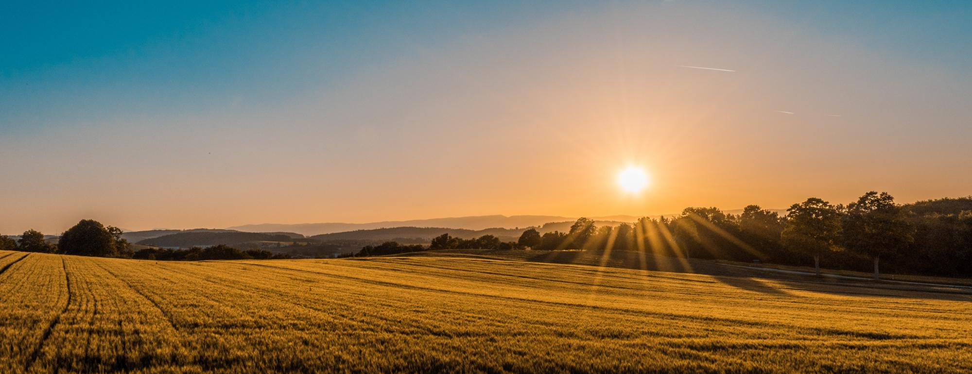 Federico Respini unplash farm sunset