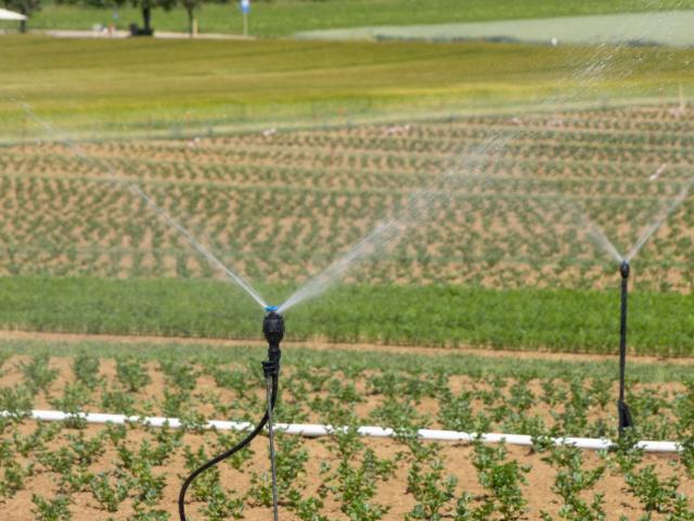 irrigation in field; by "Being Organic In EU" on Unsplash.com
