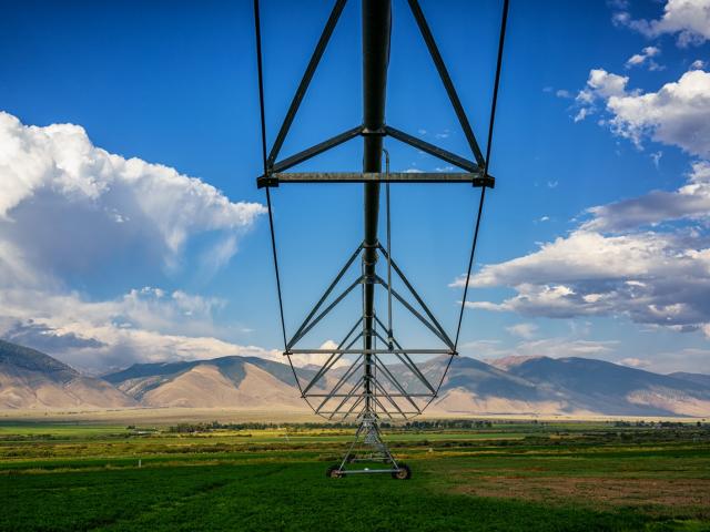 field irrigation against blue sky unsplash