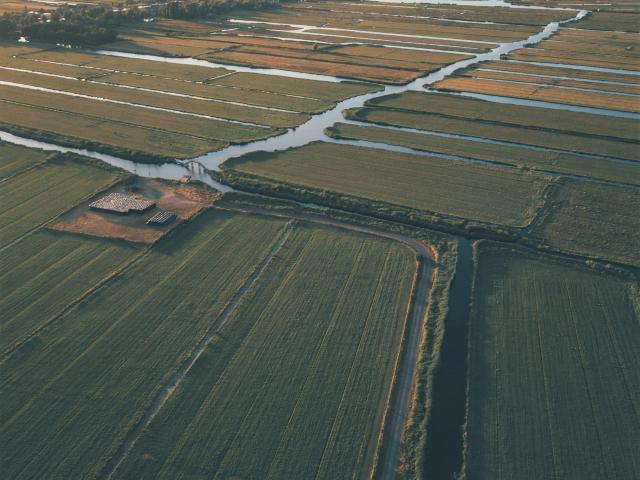 aerial shot of field irrigation unsplash
