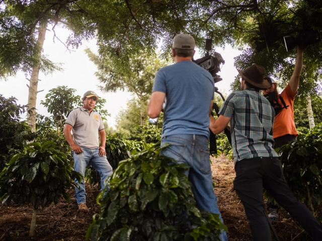 group harvesting greens unsplash