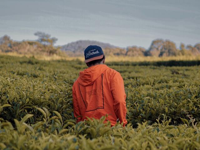 Rizki Prayugo unsplash