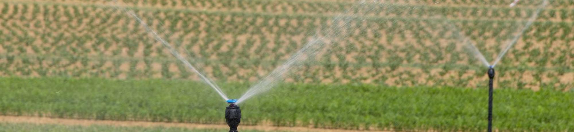 irrigation in field; by "Being Organic In EU" on Unsplash.com