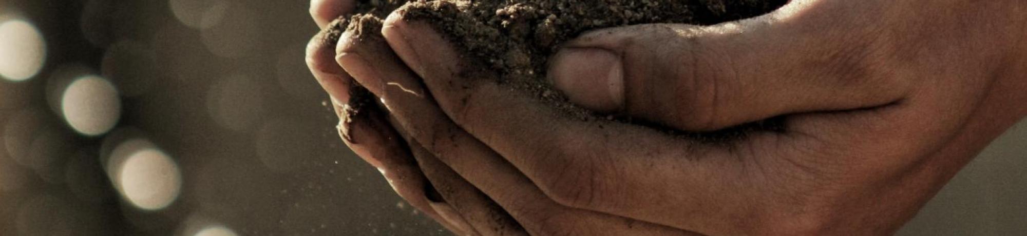 unsplash photo soil