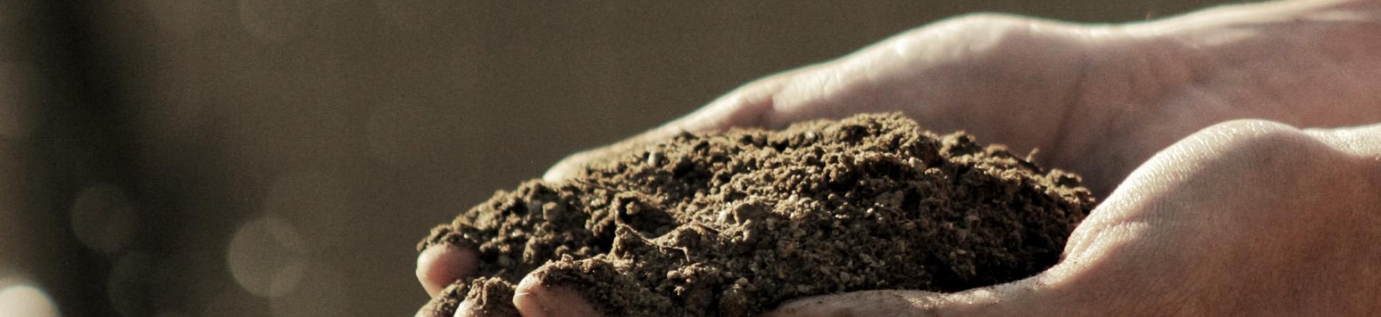 unsplash photo soil