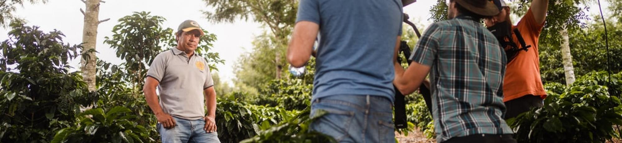 group harvesting greens unsplash