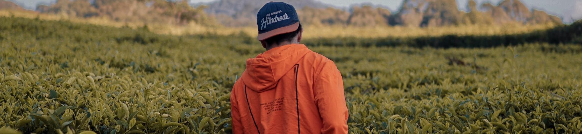 Rizki Prayugo unsplash
